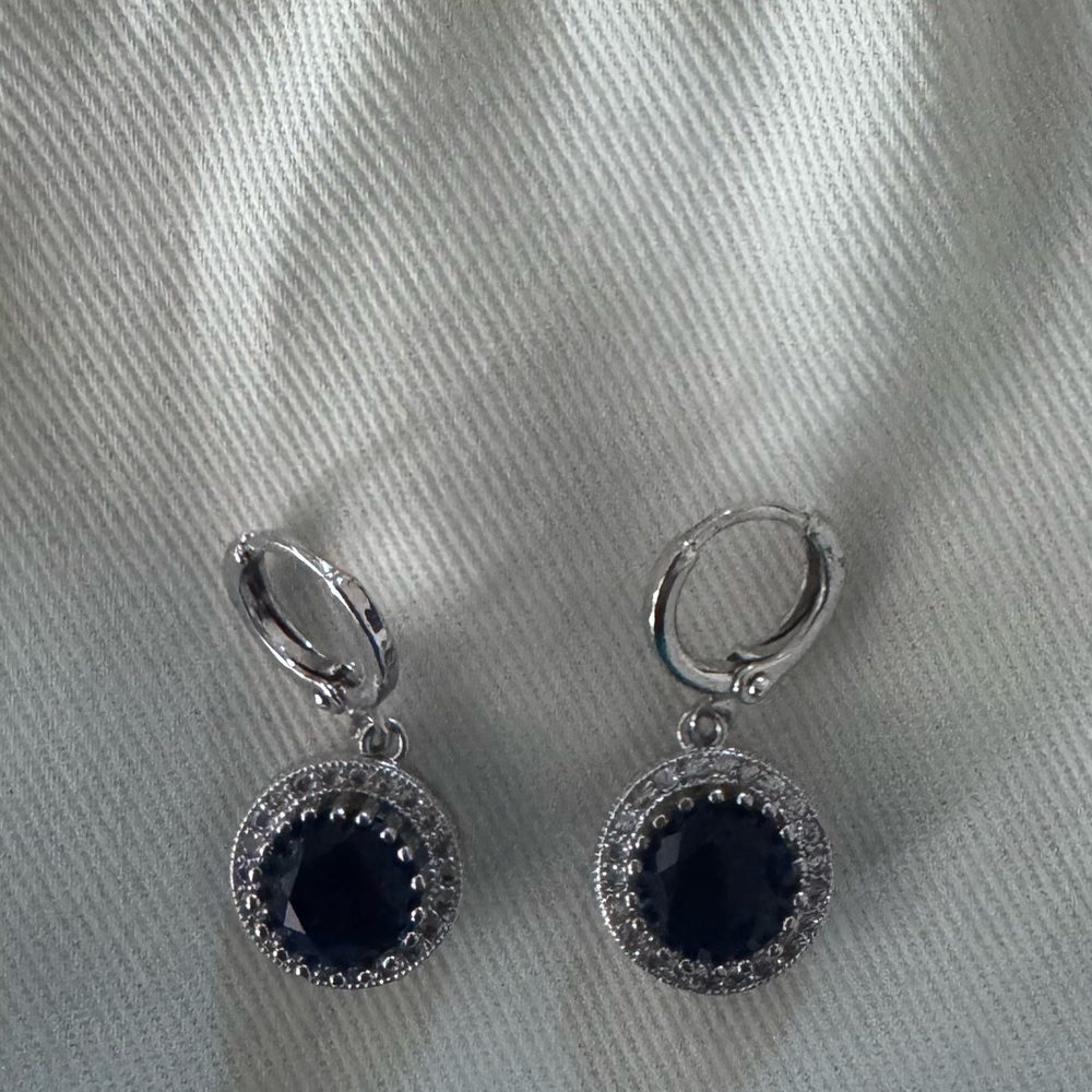 Elegant Fashion Silver and Navy Blue Earrings